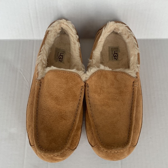UGG Men\'s Ascot in Chestnut Slipper with Rubber Sole Size 11 main image 8
